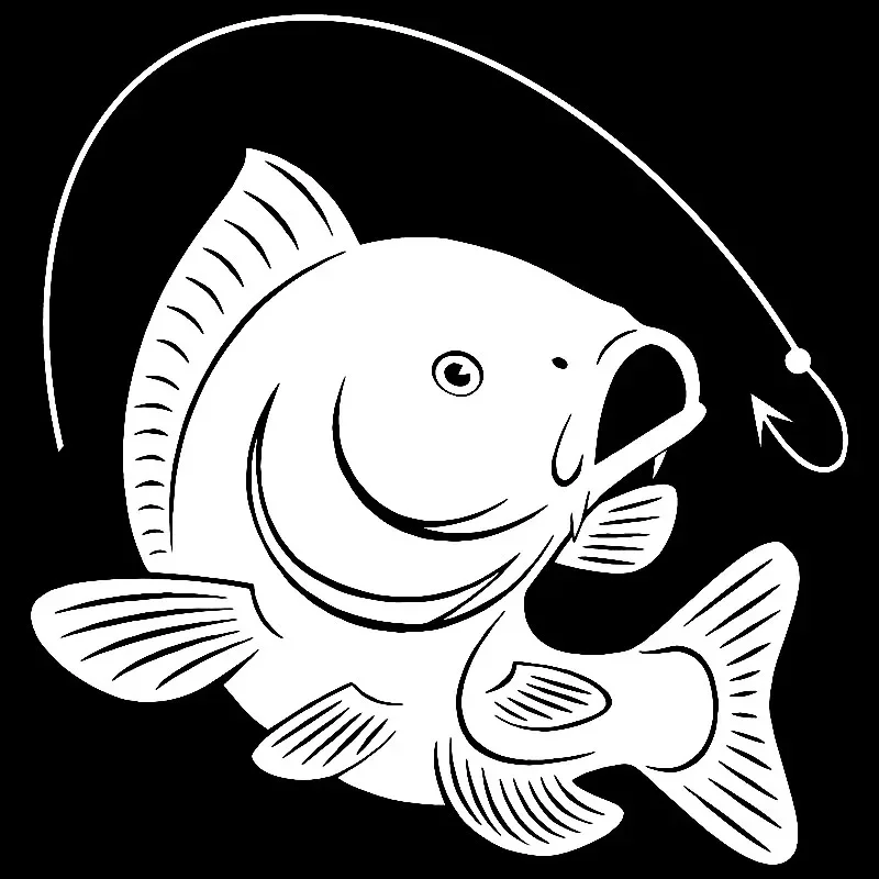 Carp Fishing Hook Decal Decora - Fishing Hook review and price